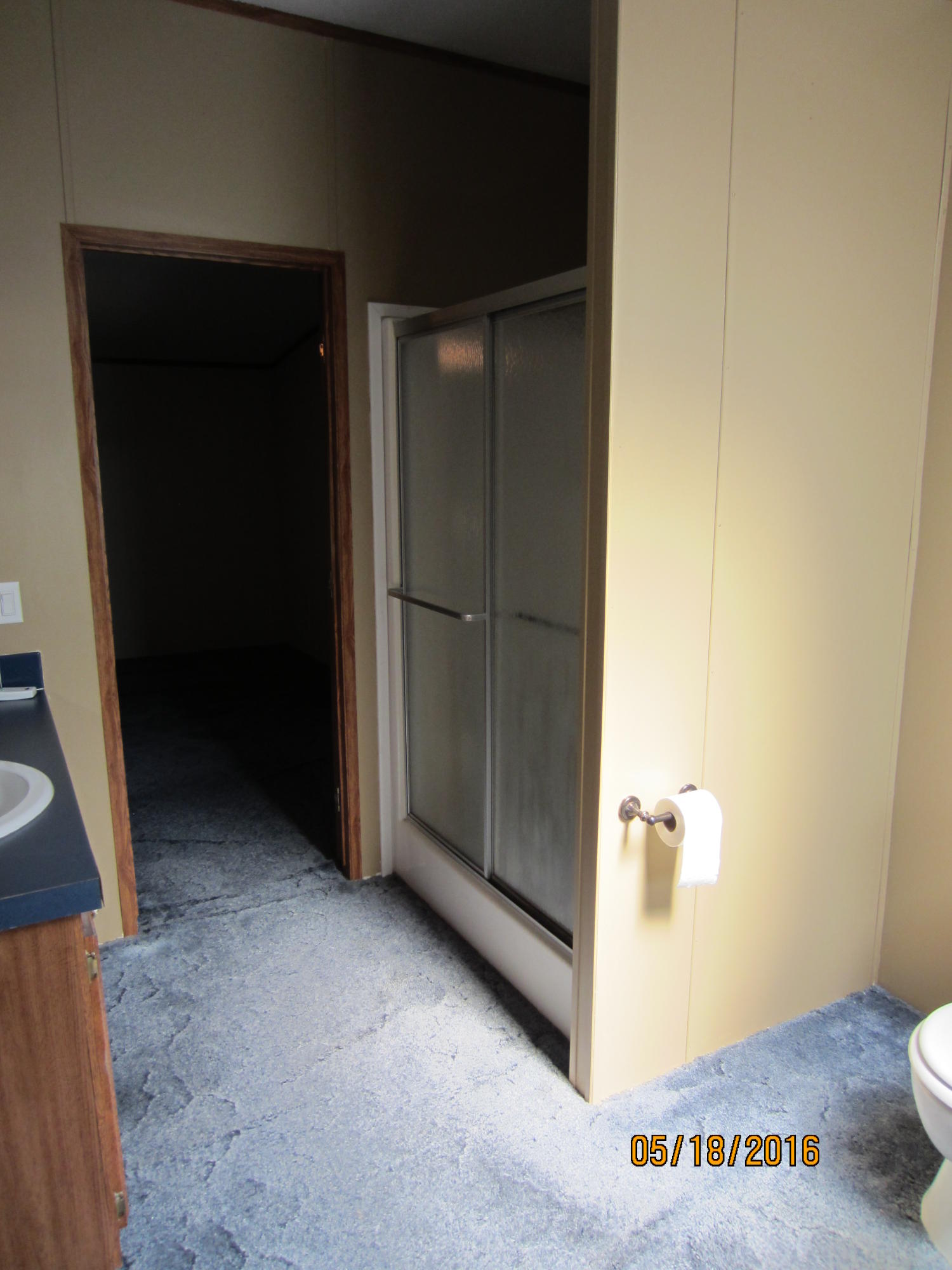 7140 Short Tail Springs Road Harrison, TN 37341 - Photo 23 of 33 Master shower