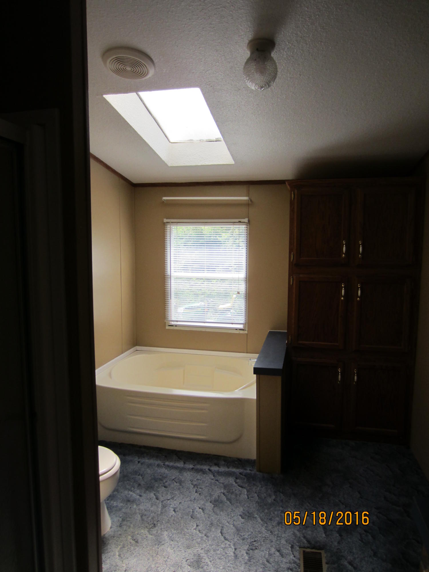 7140 Short Tail Springs Road Harrison, TN 37341 - Photo 26 of 33 Skylight_Master bath