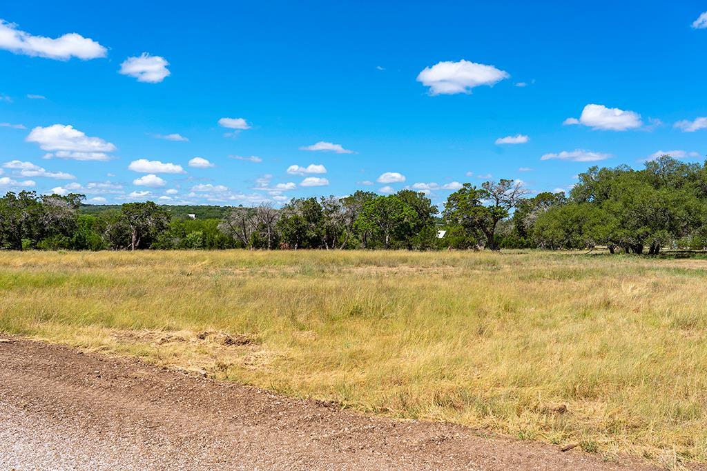 3051 Ranch Road 1376, Unit 1 Fredericksburg, TX 78624 - Photo 2 of 9