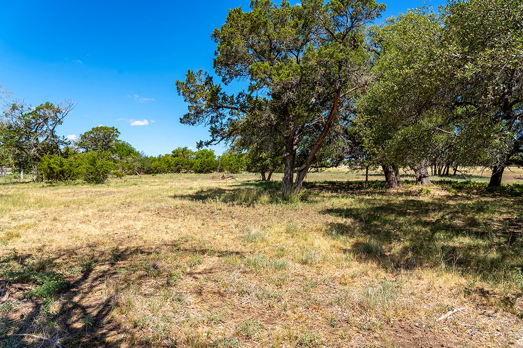 3051 Ranch Road 1376, Unit 1 Fredericksburg, TX 78624 - Photo 3 of 9