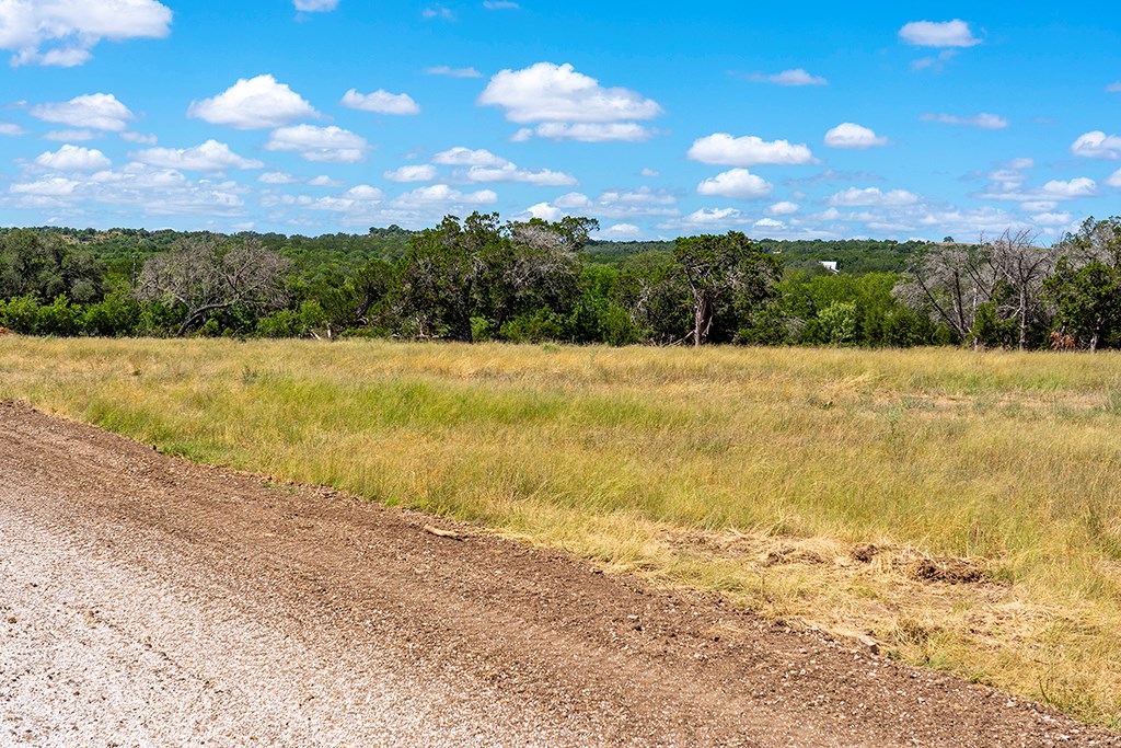 3051 Ranch Road 1376, Unit 1 Fredericksburg, TX 78624 - Photo 5 of 9
