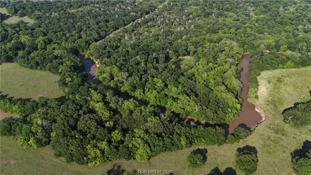 Tbd Tbd Wilson Pasture Road Bryan, TX 77808 - Photo 27 of 29 a view of a forest with a tree