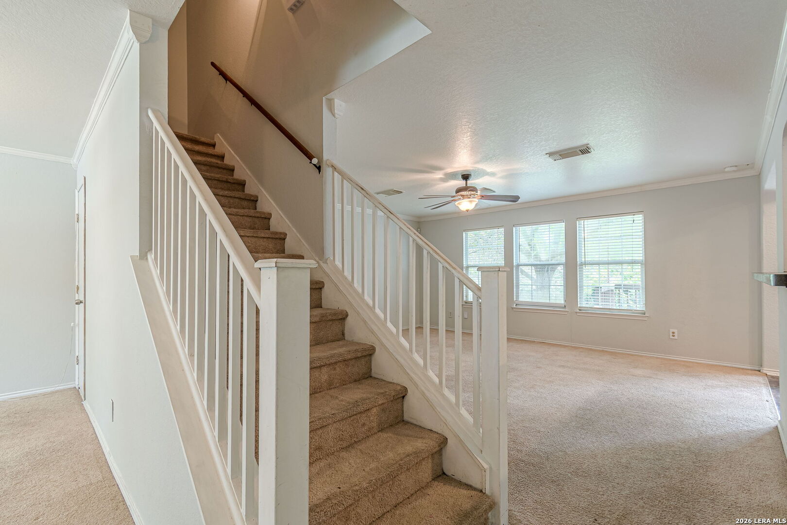 164 Springtree Hollow Cibolo, TX 78108 - Photo 9 of 44