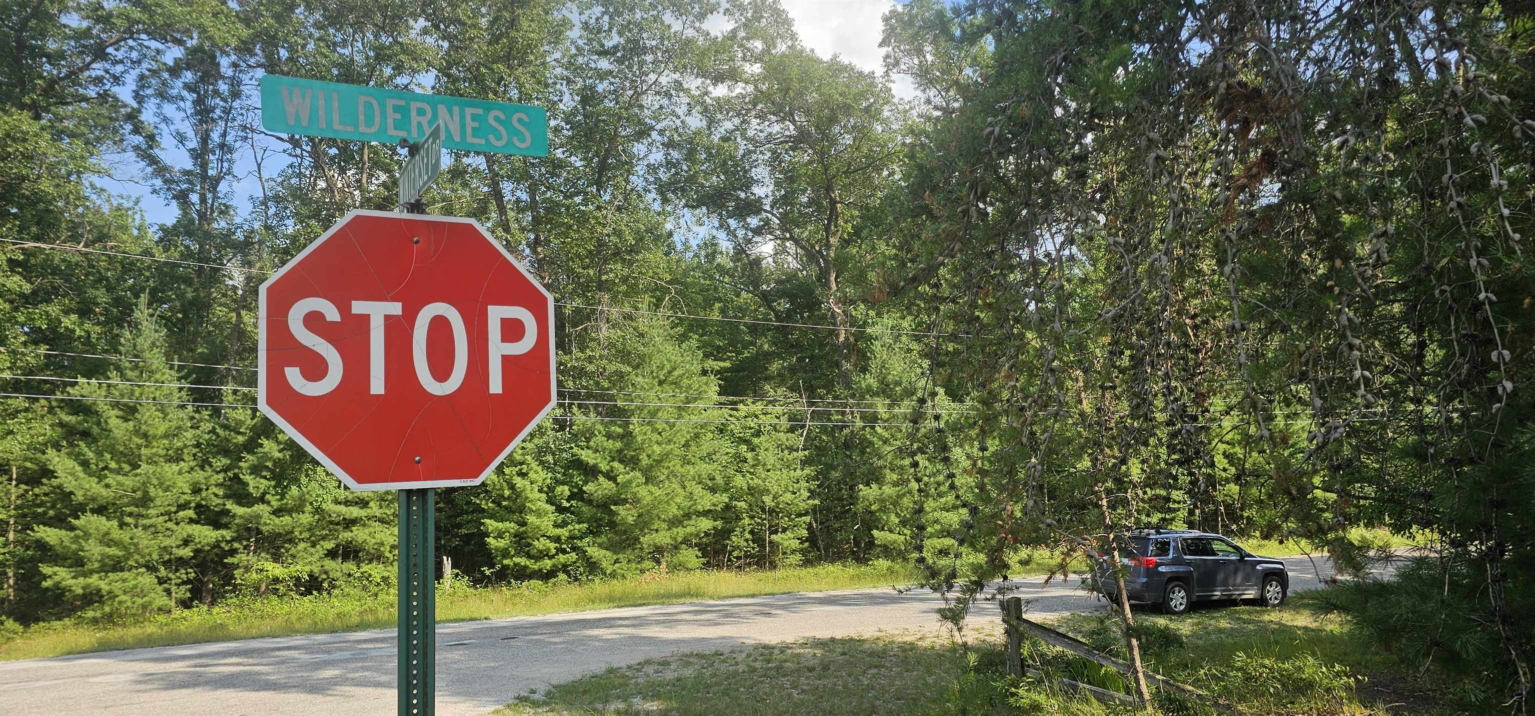 0 Wilderness Road Alger, MI 48610 - Photo 1 of 8