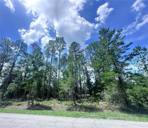 $17,000 | 107 Georgetown Pt Road, Georgetown, FL 32139