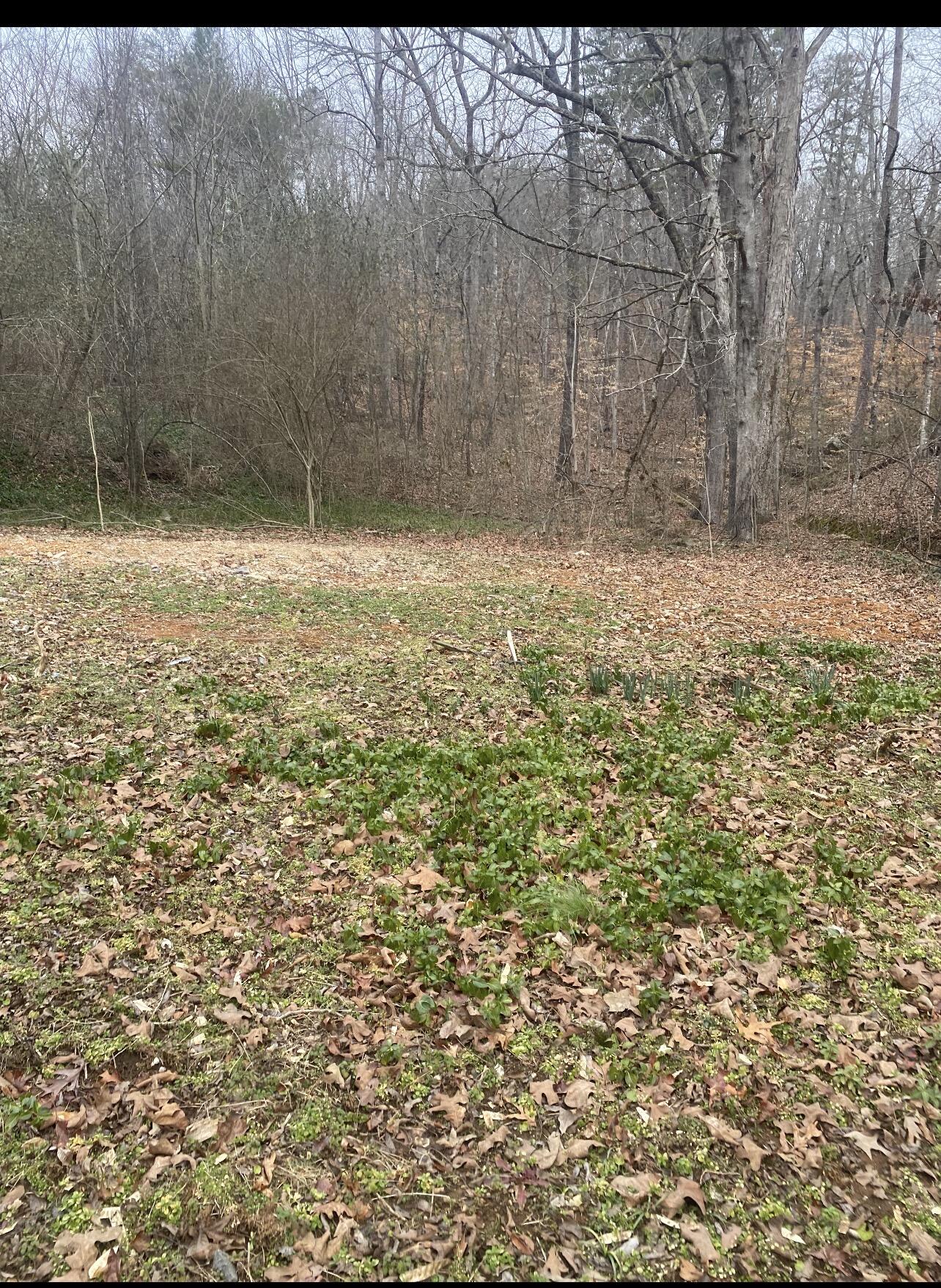 7717 Selcer Road Hixson, TN 37343 - Photo 7 of 9 IMG_7082 (1)