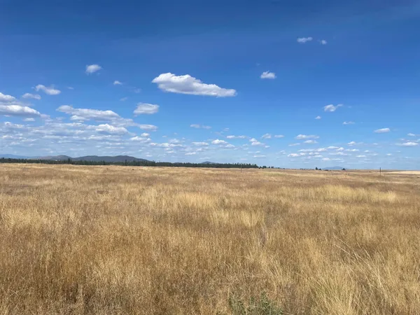 $100,000 | 35251 Crescent N Road, Unit PARCEL 4, Reardan, WA 99029