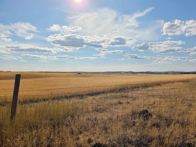 $120,000 | 35251 Crescent N Road, Unit PARCEL 4, Reardan, WA 99029