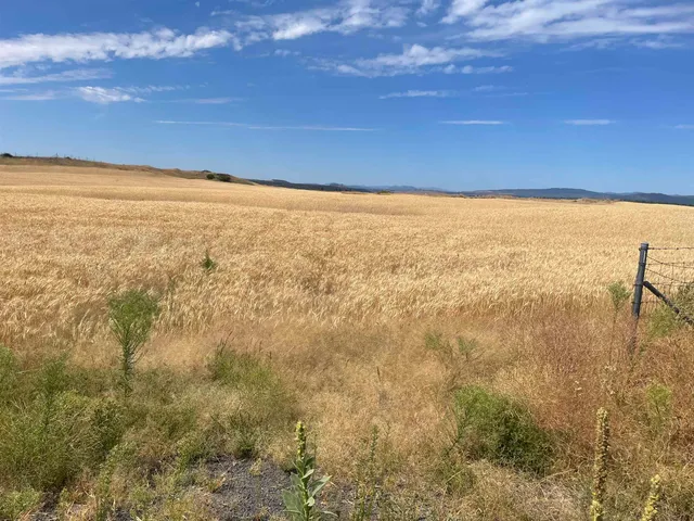 $120,000 | 35251 Crescent N Road, Unit PARCEL 4, Reardan, WA 99029