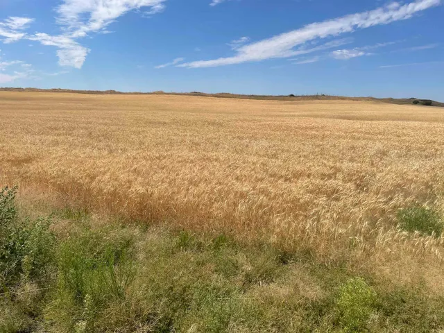 $120,000 | 35251 Crescent N Road, Unit PARCEL 4, Reardan, WA 99029