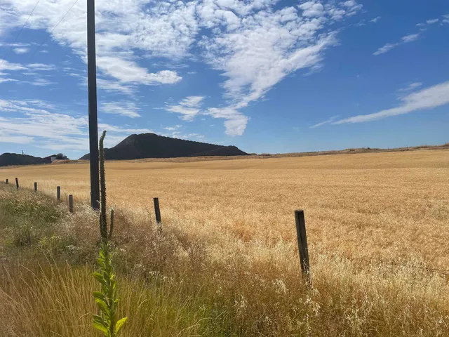 $120,000 | 35251 Crescent N Road, Unit PARCEL 4, Reardan, WA 99029