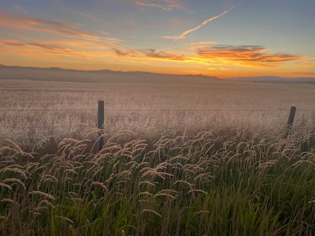 $120,000 | 35251 Crescent N Road, Unit PARCEL 4, Reardan, WA 99029