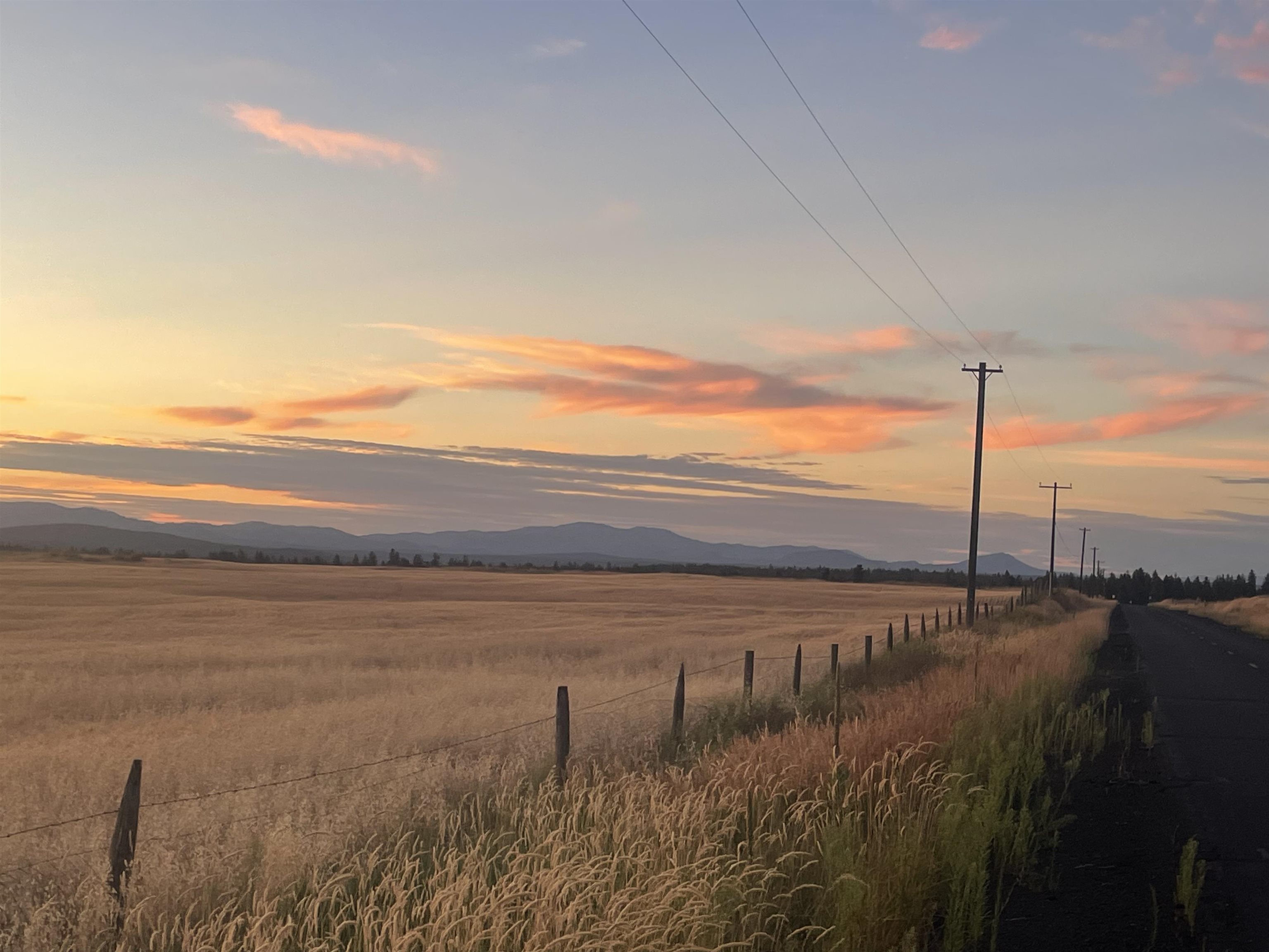 35251 Crescent N Road, Unit PARCEL 4 Reardan, WA 99029 - Photo 4 of 22 Gallery Image 4
