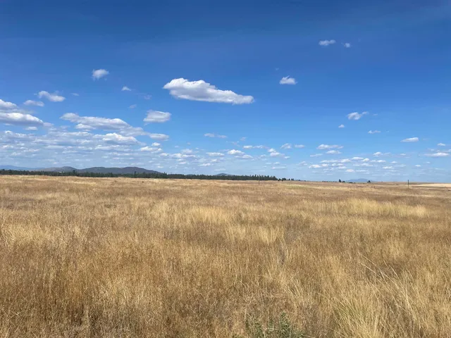 $120,000 | 35251 Crescent N Road, Unit PARCEL 4, Reardan, WA 99029