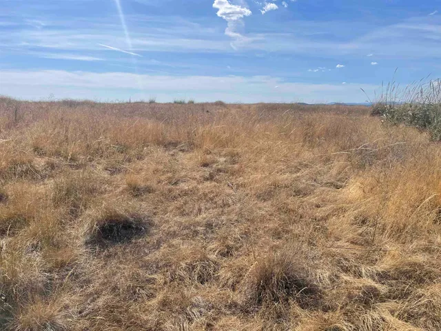 $120,000 | 35251 Crescent N Road, Unit PARCEL 4, Reardan, WA 99029