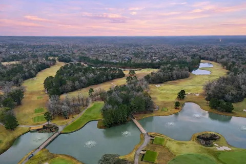 $725,000 | 519 Caverna Street, Montgomery, TX 77316