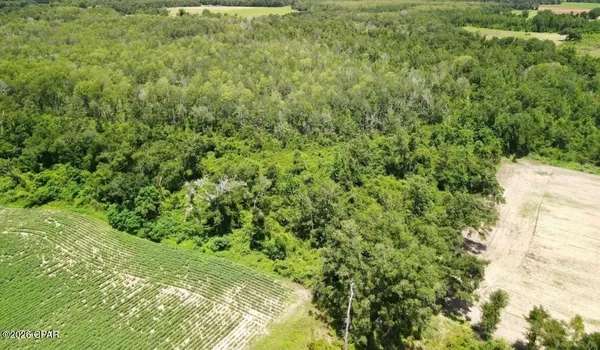 $270,000 | 0 Peanut Road, Cottondale, FL 32431