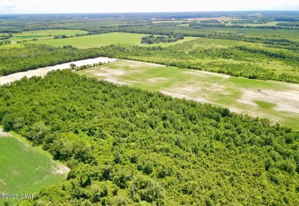 $270,000 | 0 Peanut Road, Cottondale, FL 32431