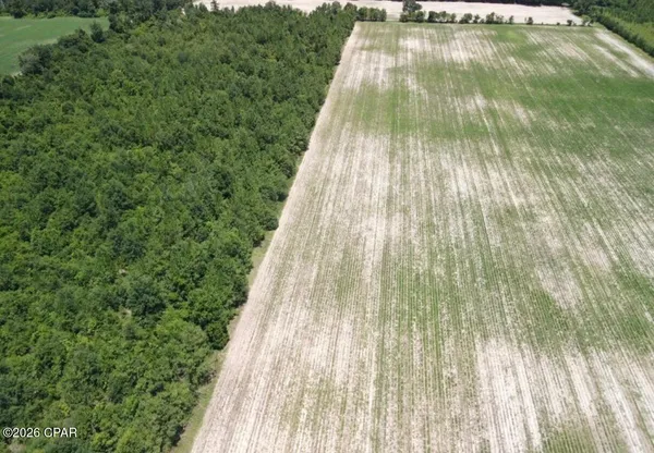 $270,000 | 0 Peanut Road, Cottondale, FL 32431
