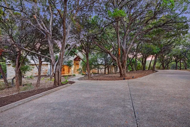 a view of tree in front of a house with large trees