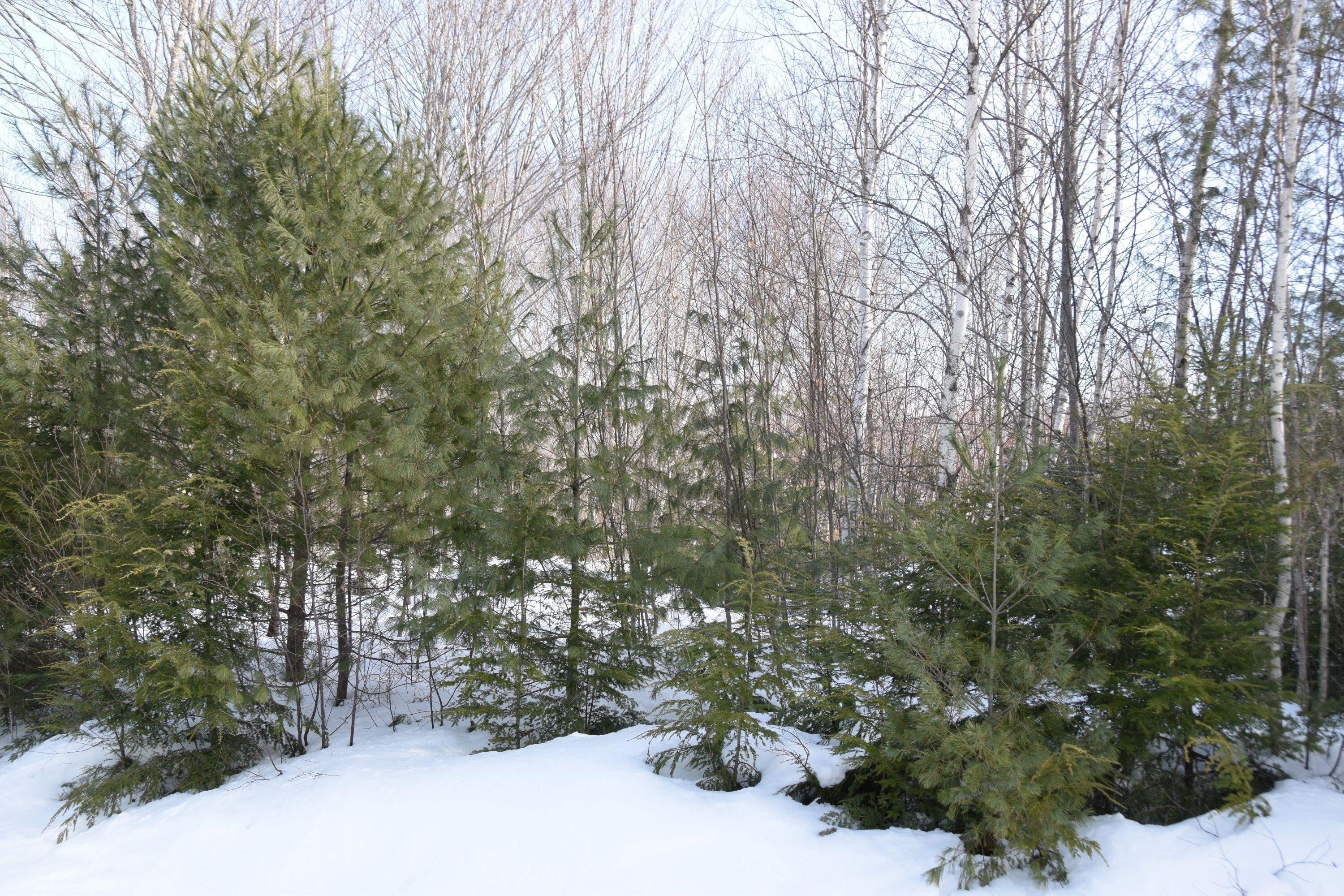 M7-l13-1 Pine Bluff Road Embden, ME 04958 - Photo 3 of 22