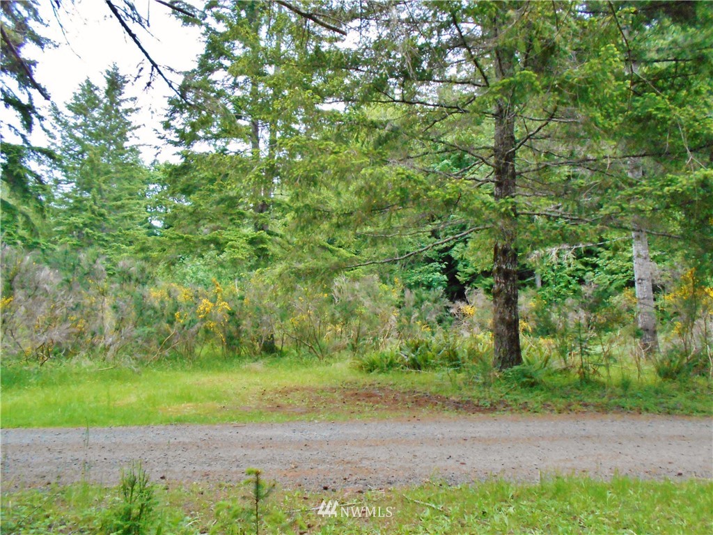 561 Church Road Brinnon, WA 98320 - Photo 2 of 18 Gallery Image 2