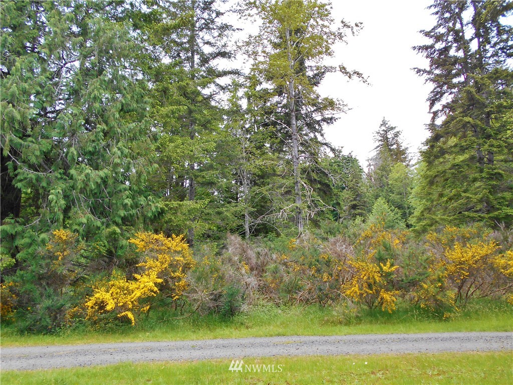 561 Church Road Brinnon, WA 98320 - Photo 3 of 18 Gallery Image 3