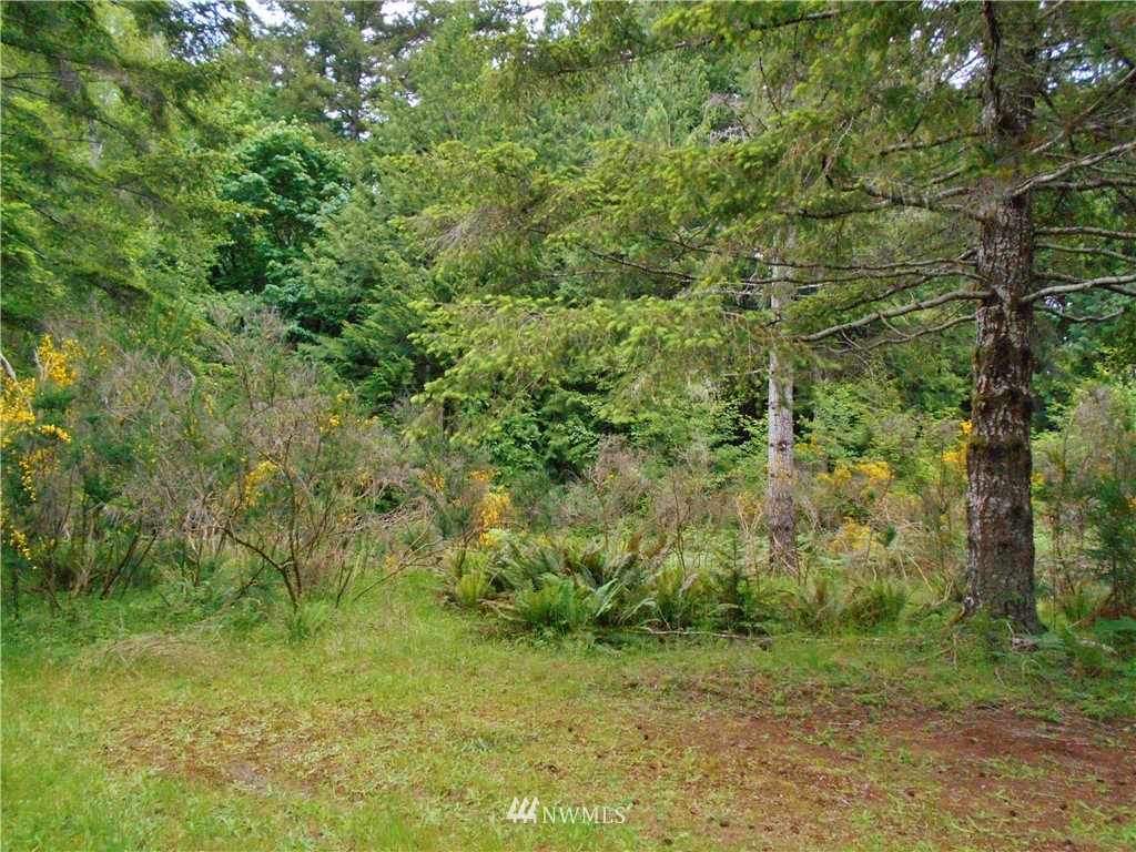 561 Church Road Brinnon, WA 98320 - Photo 6 of 18 Gallery Image 6