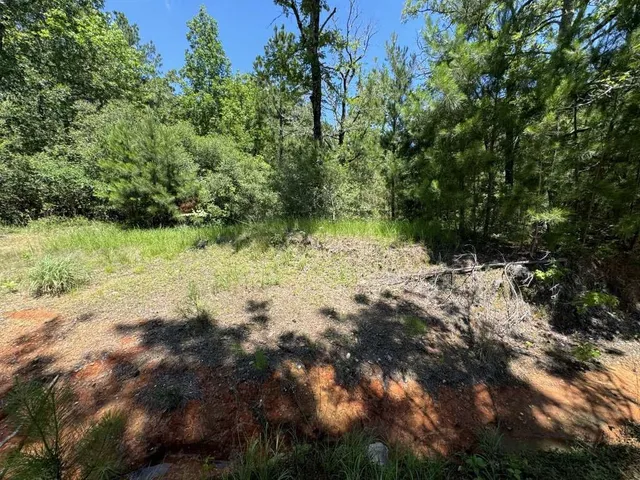 a view of a dirt pathway both side of green trees