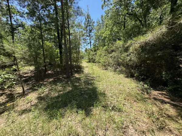 $155,199 | 233 Flynn Lane, Trinity, TX 75862