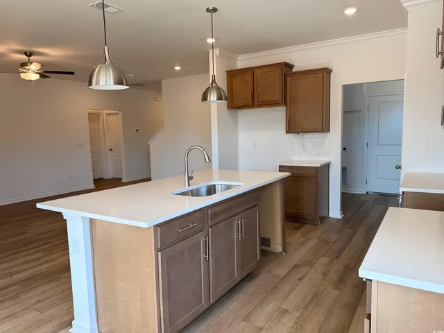 $343,990 | 118 Cascade Drive, Conway, SC 29527