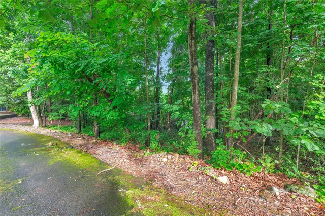 a black and white photo of a