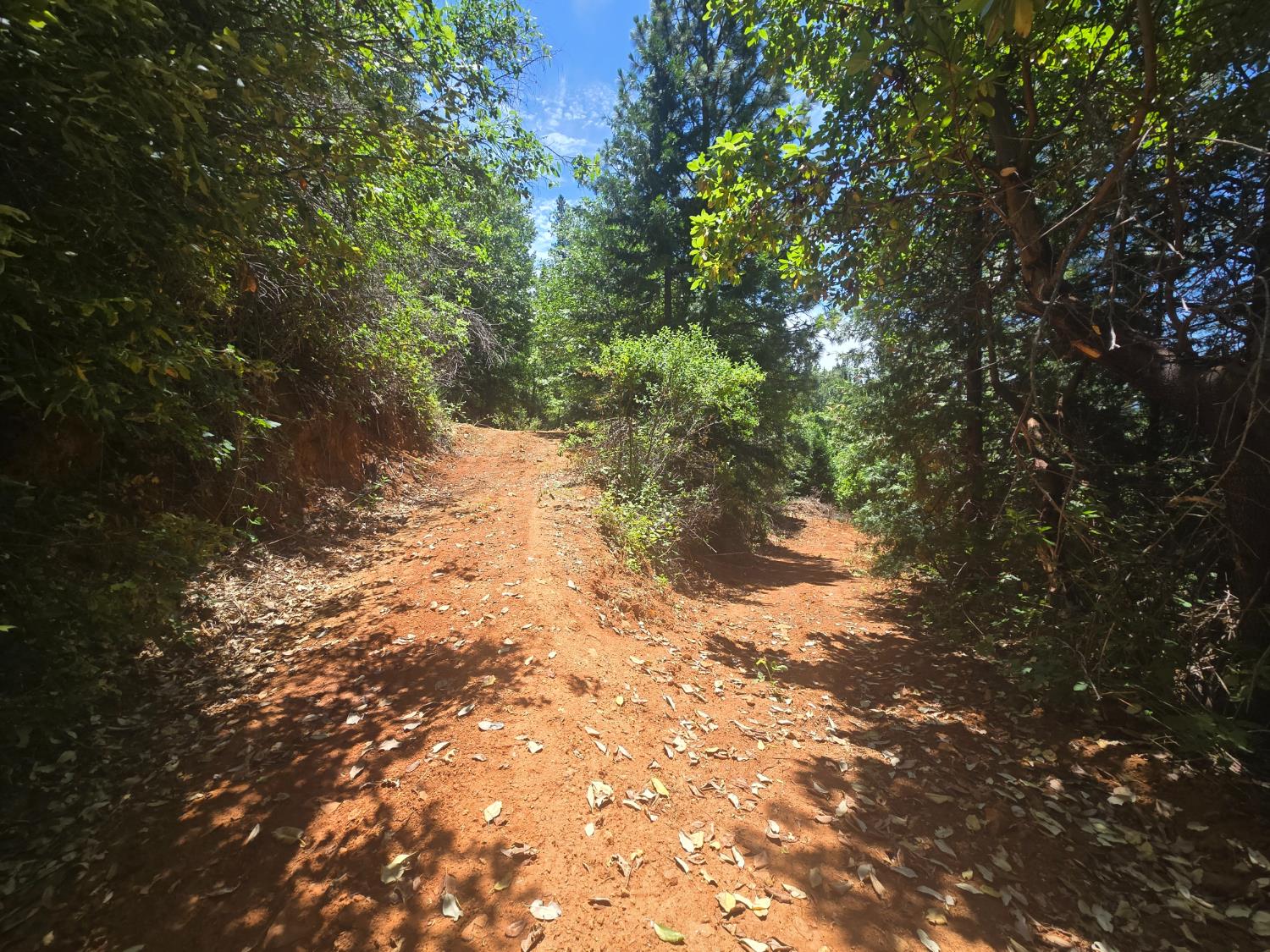 0 Maple Springs Trail Dobbins, CA 95935 - Photo 16 of 22