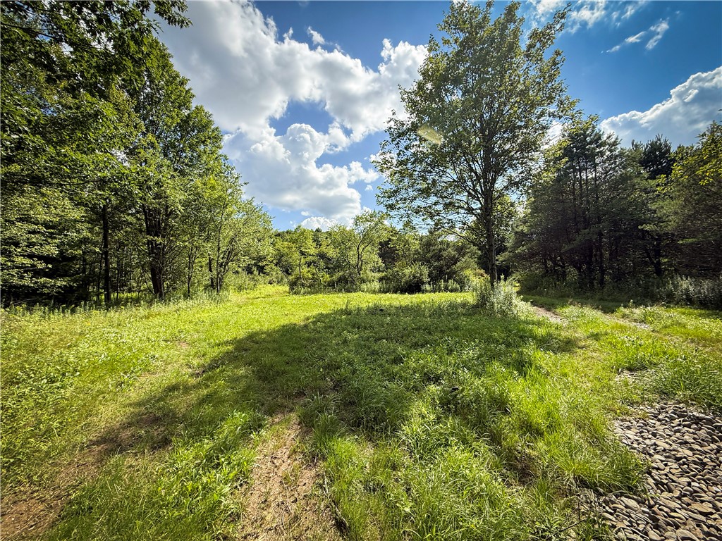 North Greenbush Road Erin, NY 14838 - Photo 11 of 46 Gallery Image 11