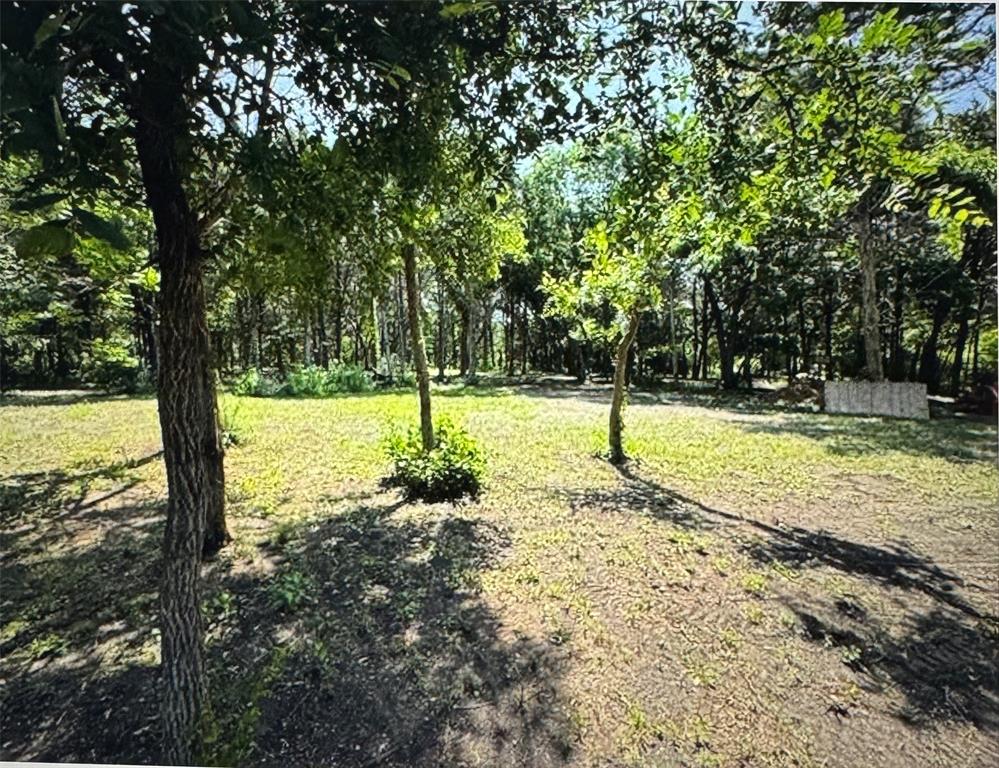 3 Robin Road Cedar Hill, TX 75104 - Photo 3 of 8