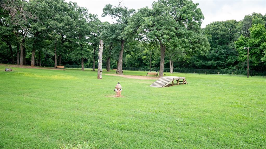 0 Bluebonnet Avenue Denison, TX 75020 - Photo 16 of 34 Ample Space for Pets to Play