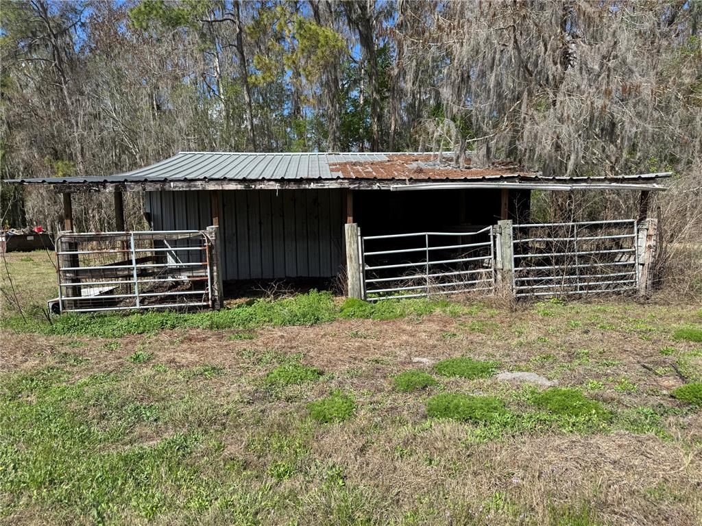 5333 Deeson Road Lakeland, FL 33810 - Photo 36 of 44 a view of a backyard