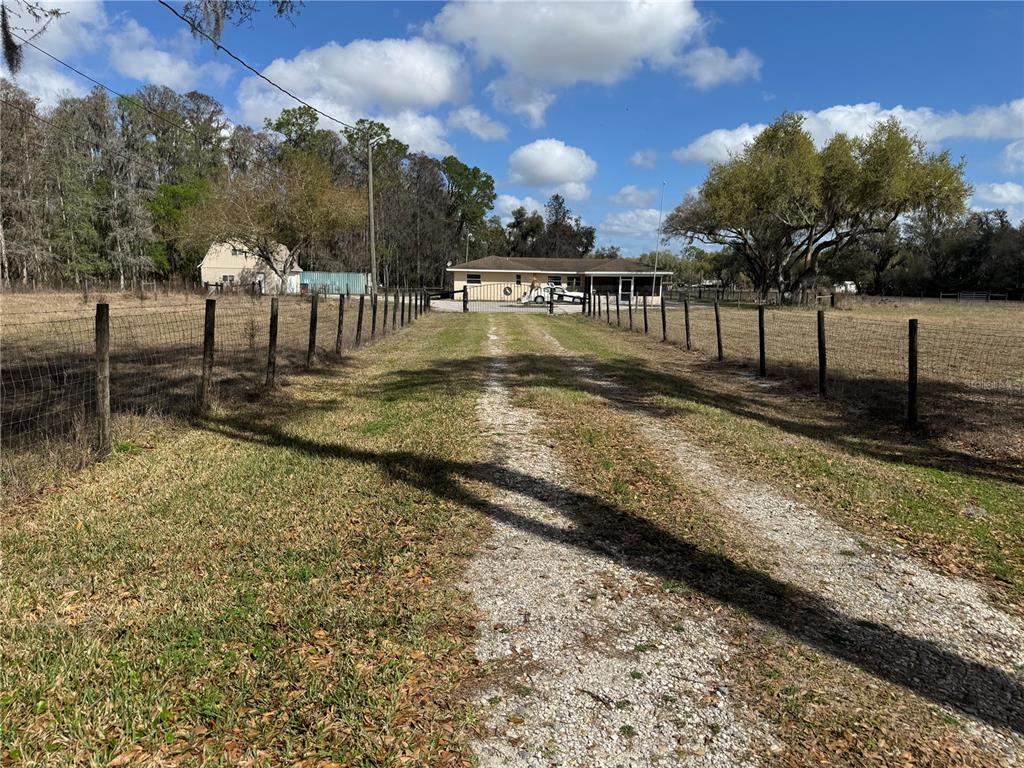5333 Deeson Road Lakeland, FL 33810 - Photo 5 of 44 a view of a yard with trees