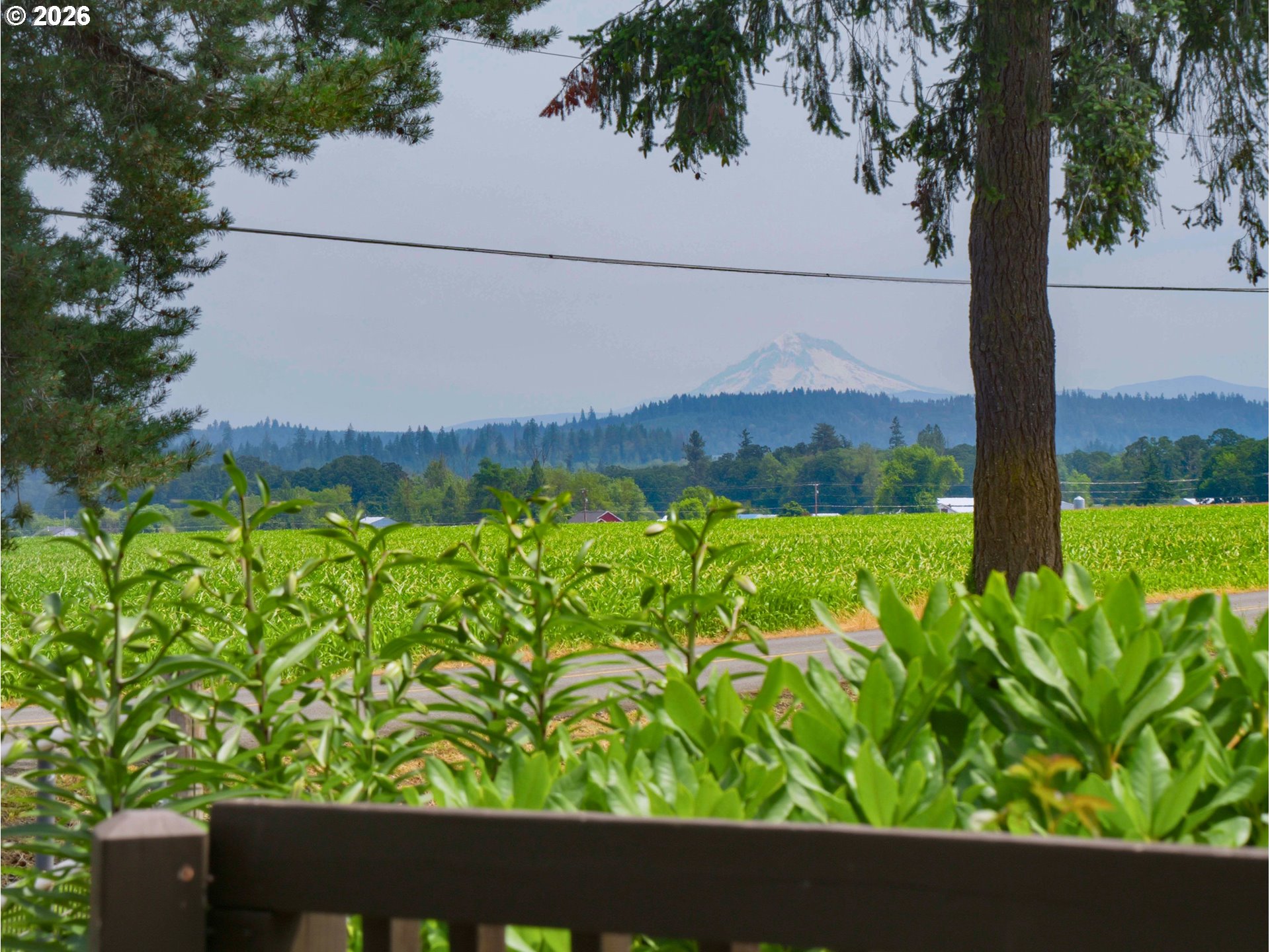 13606 South Vick Road Molalla, OR 97038 - Photo 36 of 46