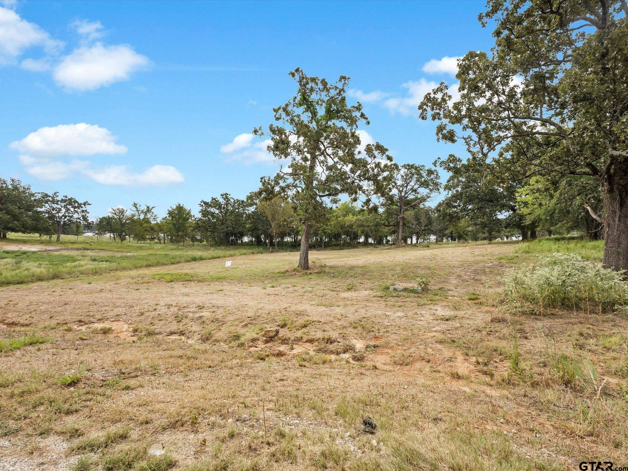 Tbd Tbd Anglers Point Emory, TX 75440 - Photo 8 of 27