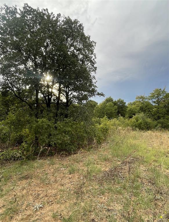 Lot 21 Private Road Hawley, TX 79525 - Photo 21 of 24