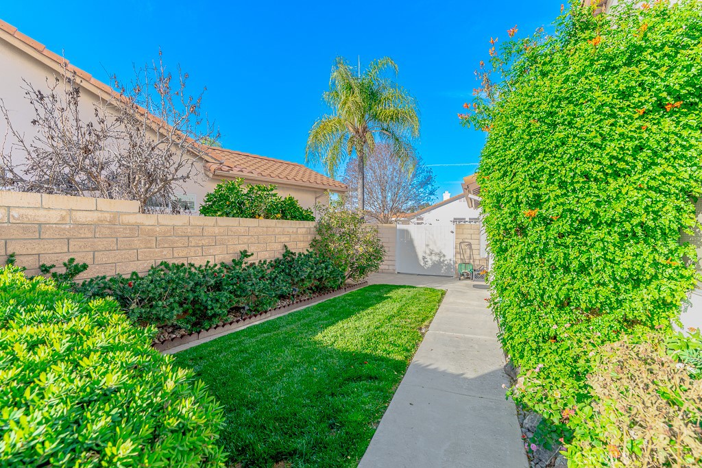 1877 Cashew Tree Street Hemet, CA 92545 - Photo 29 of 32 a view of a yard with plants
