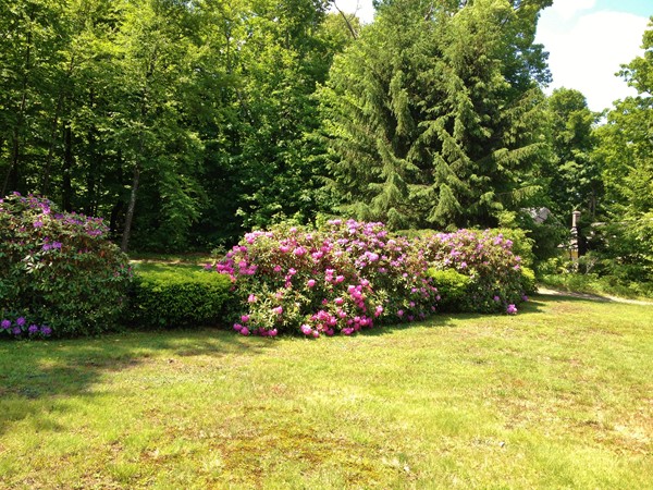 8 Old Worcester Road Westminster, MA 01473 - Photo 2 of 25 a view of an outdoor space
