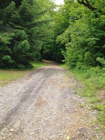 8 Old Worcester Road Westminster, MA 01473 - Photo 25 of 25 a view of a yard with a trees