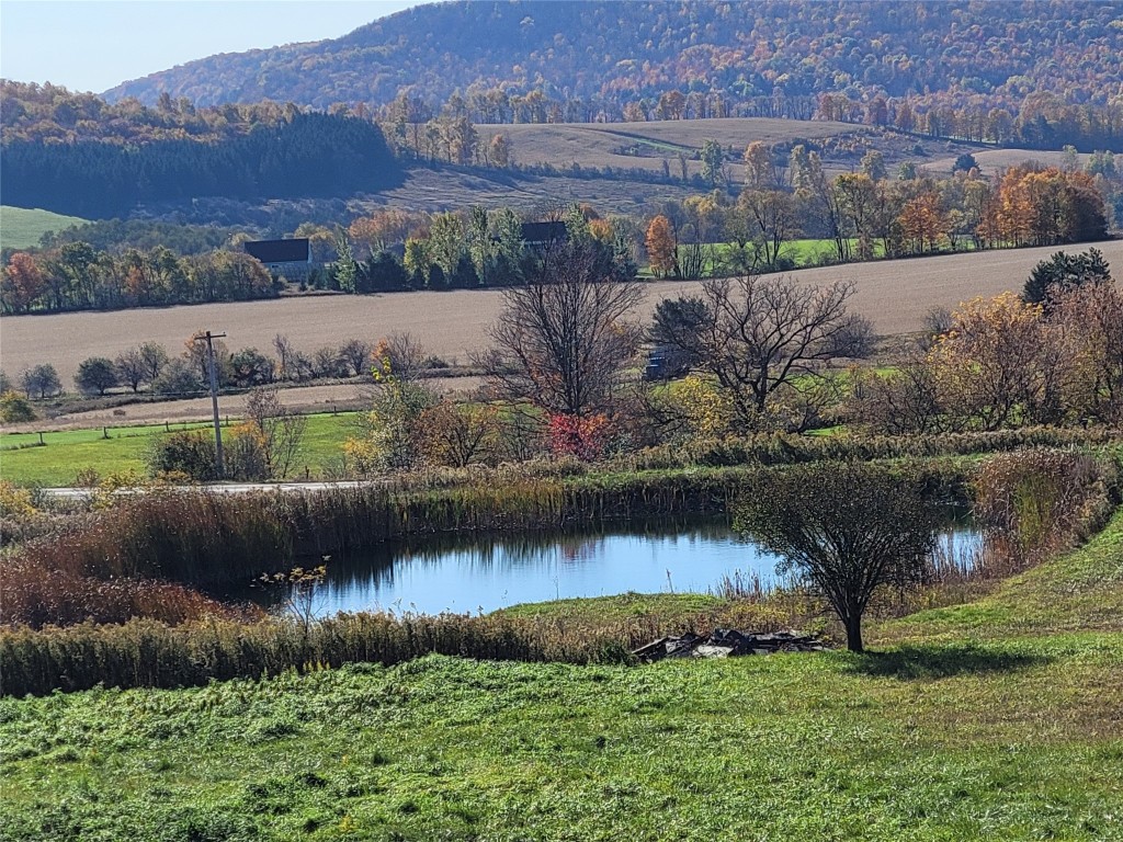 1051 West State Road Cortland, NY 13045 - Photo 39 of 42 Gallery Image 39