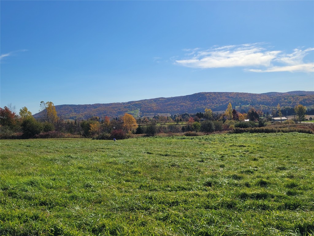 1051 West State Road Cortland, NY 13045 - Photo 7 of 42 Gallery Image 7