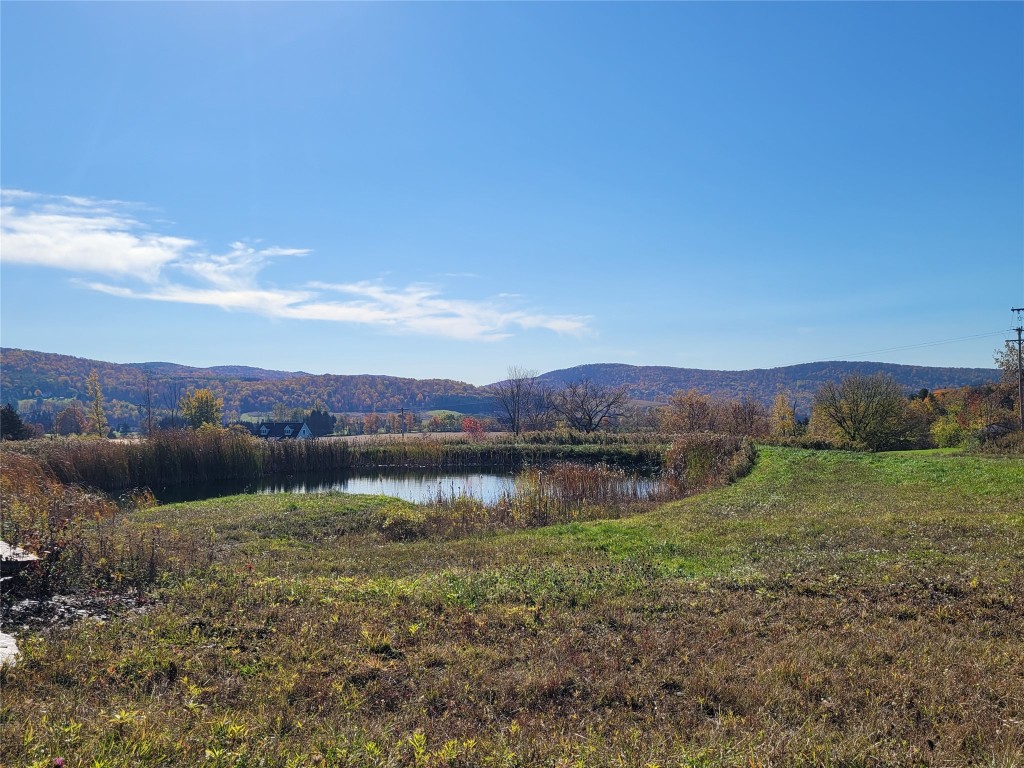 1051 West State Road Cortland, NY 13045 - Photo 8 of 42 Gallery Image 8
