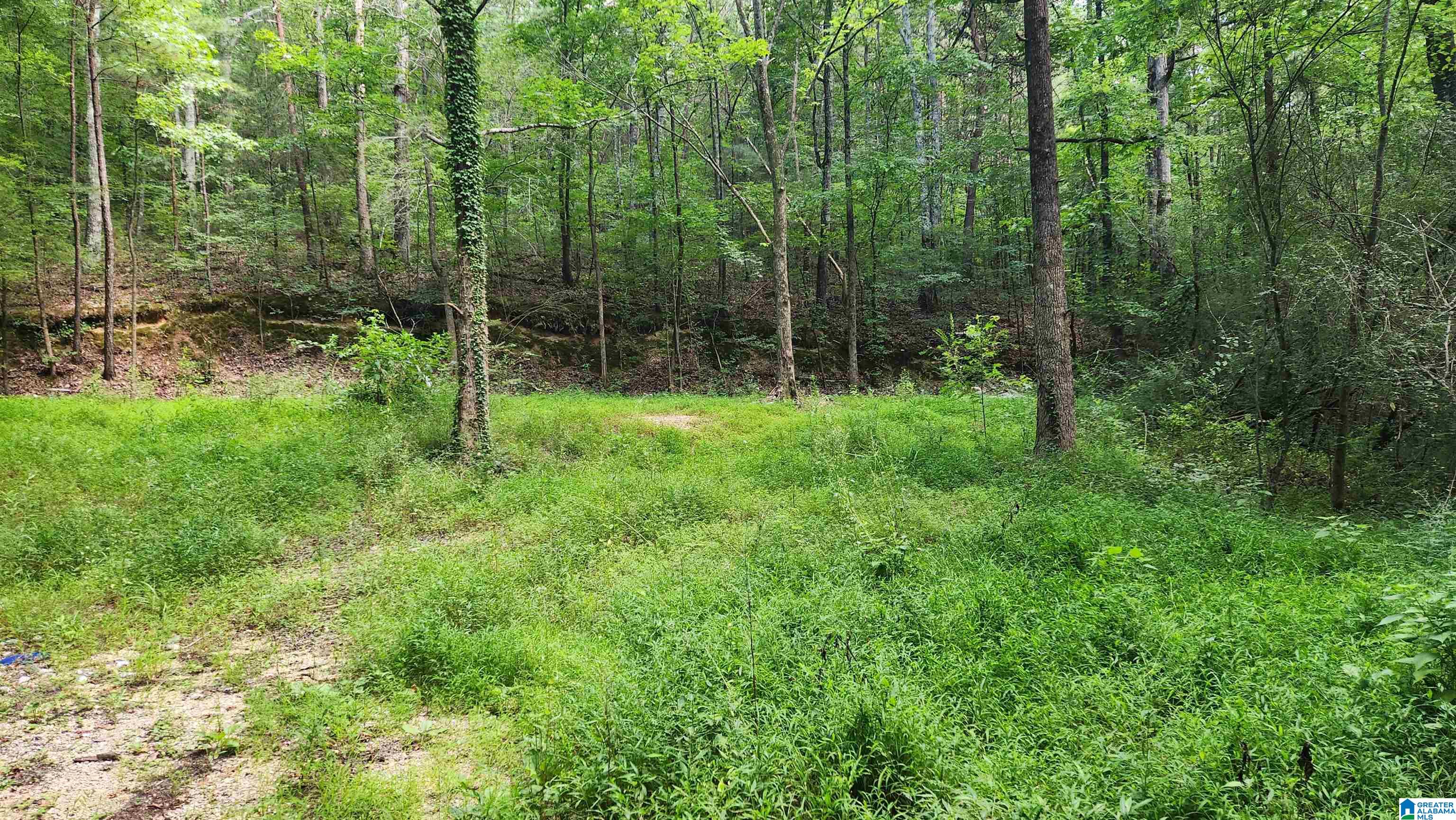 5233 Dewey Heights Road Pinson, AL 35126 - Photo 2 of 5