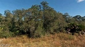 4227 East 29th Street Alva, FL 33920 - Photo 2 of 3 a view of a yard