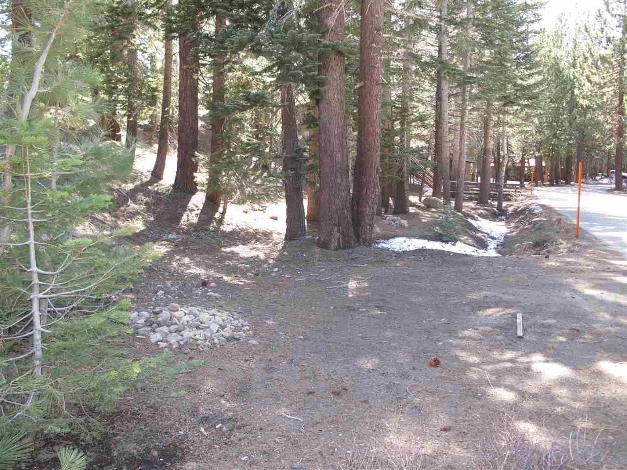 3 Berner Street Mammoth Lakes, CA 93546 - Photo 2 of 6 View of yard